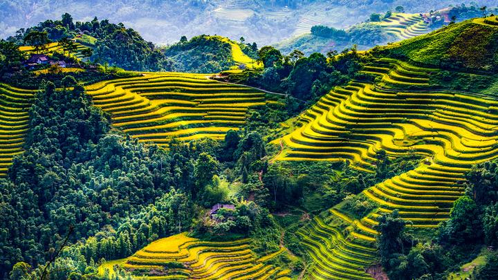 Xu hướng Sốc: Vụ tố 