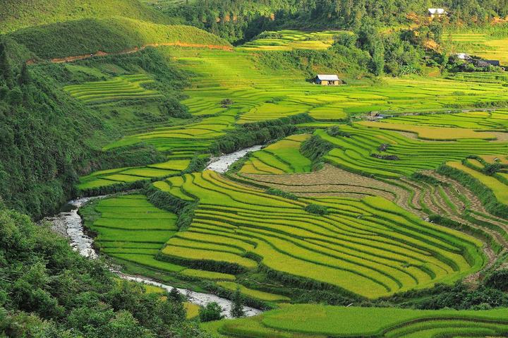 Từ Khuyết Tật Đến Triệu View: Câu Chuyện Cảm Hứng Của Tuấn Anh