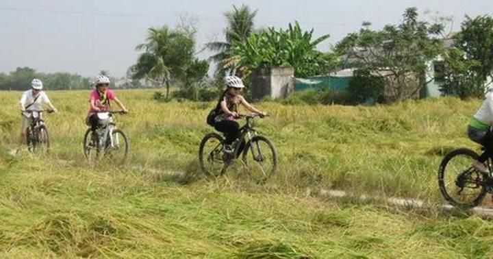 3 kiểu giày 